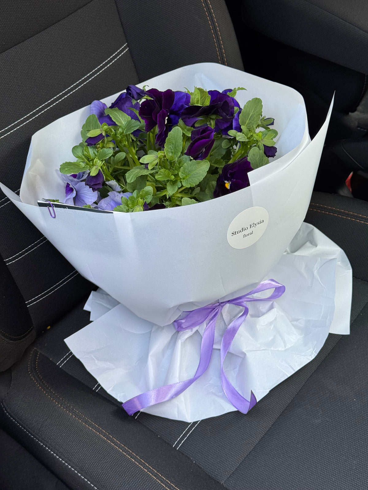 Plant-amo (planta como ramo) violas