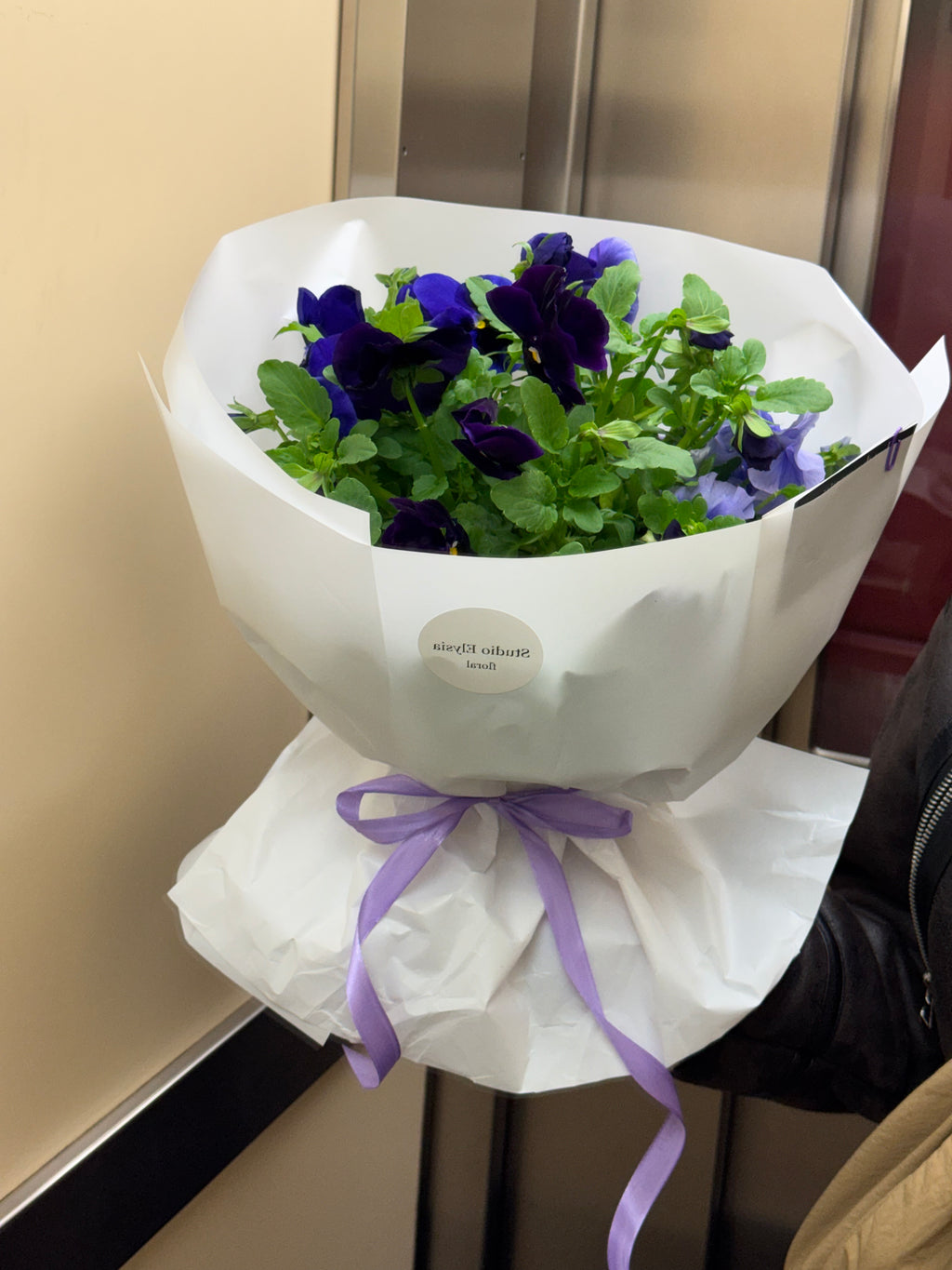 Plant-amo (planta como ramo) violas
